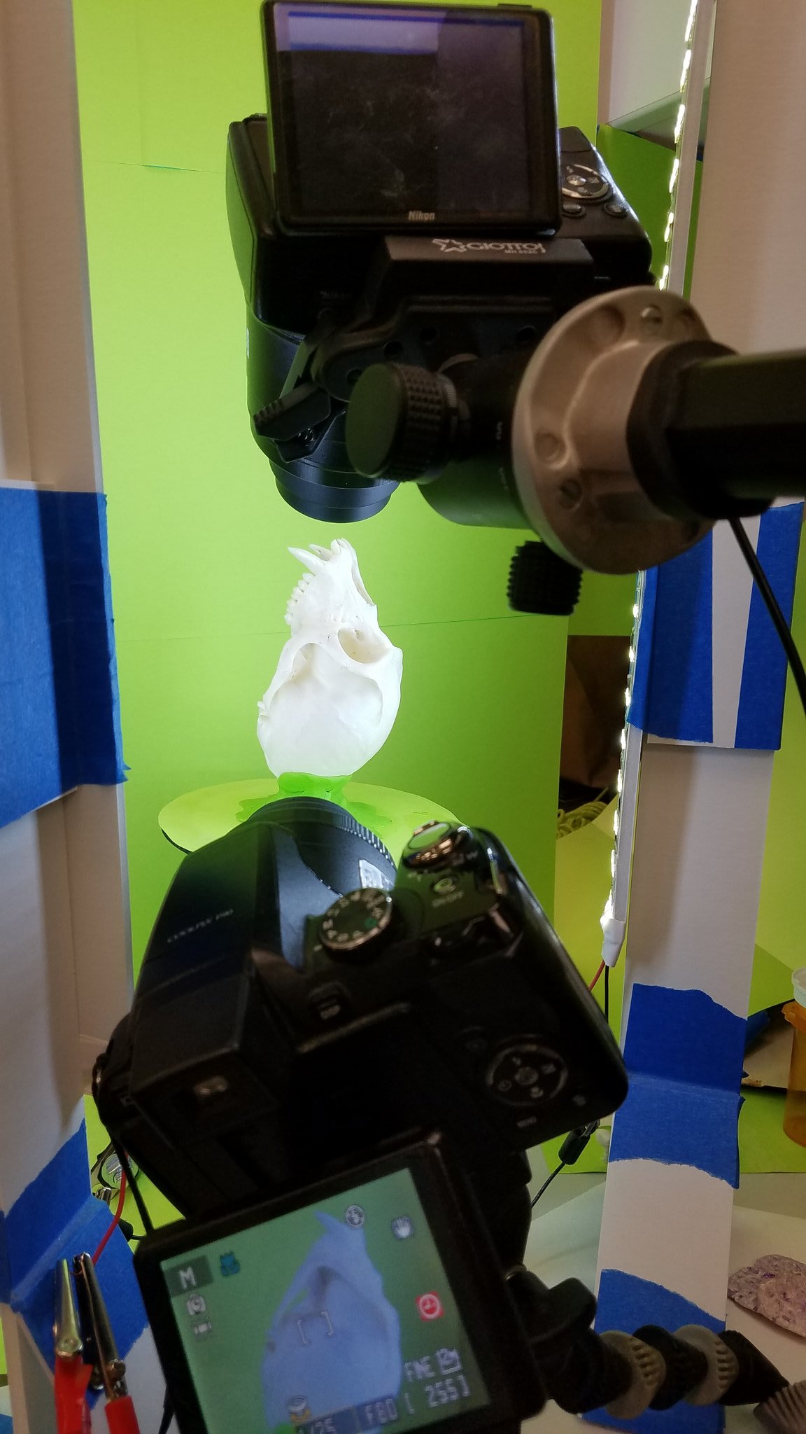 3D Scanning with Inexpensive Cameras project image