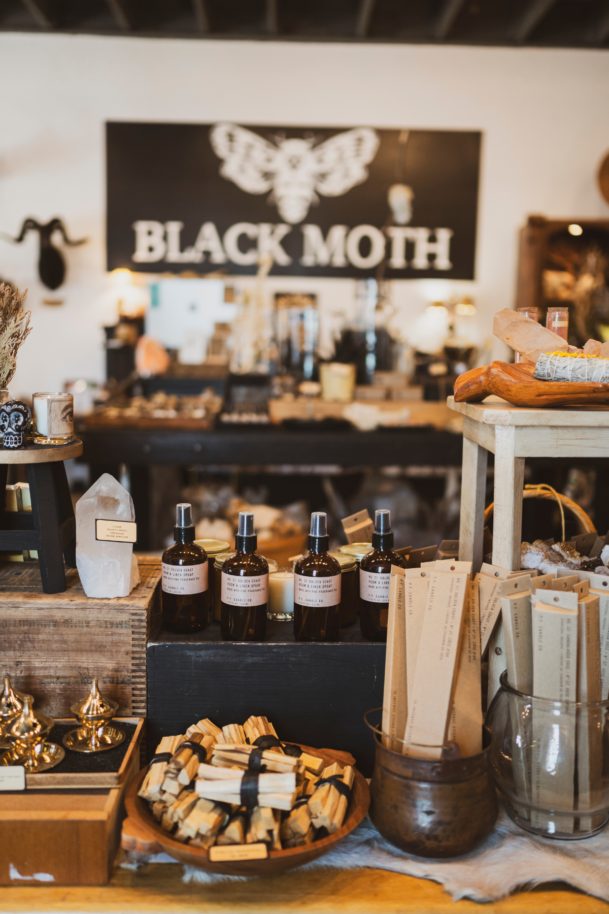 Black Moth Maker Picture