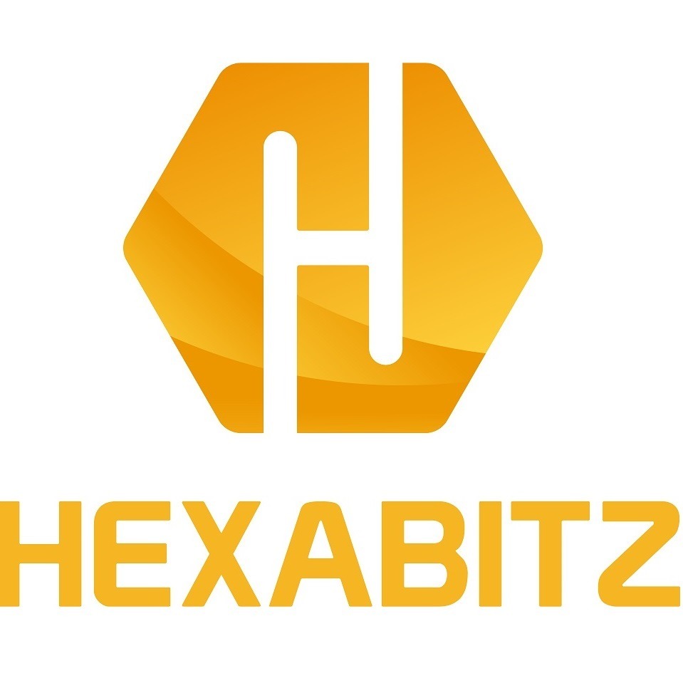 Hexabitz Maker Picture